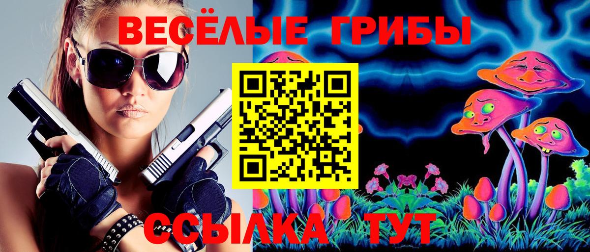 Тольятти  Галлюциногенные грибы прущие грибы  Вход с VPN 